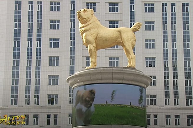 pomnik psa